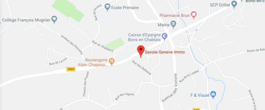 Googlemap Savoie Genève Immo